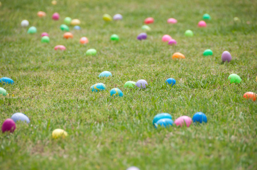 Easter Eggs on the Grass Field::: Related Images :::