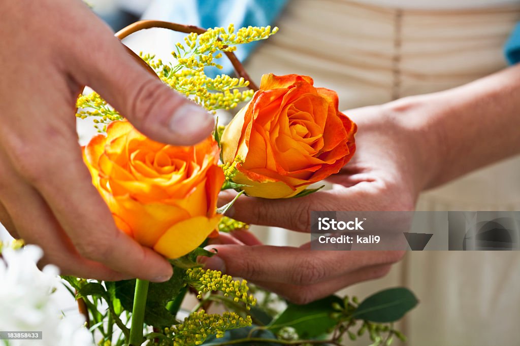 Ręce Urządzać świeże kwiaty w Wazon - Zbiór zdjęć royalty-free (Kwiaciarz)