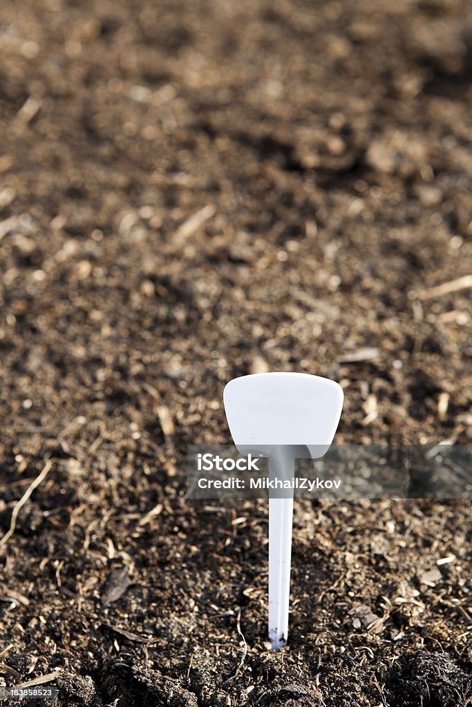 Invernáculo - Foto de stock de Agricultura libre de derechos