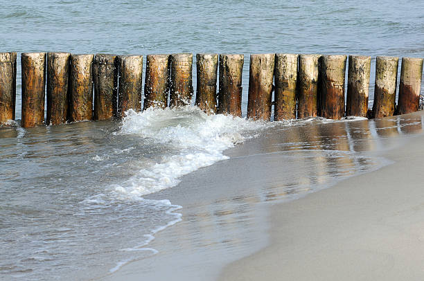 espigón con olas del mar báltico playa de darss penínsulas (alemania - bohlen fotografías e imágenes de stock