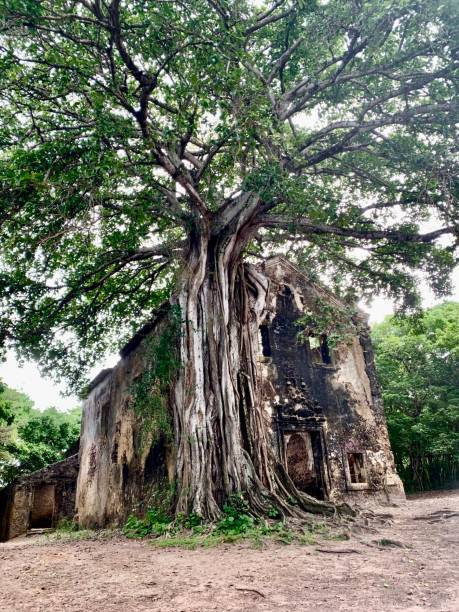 istock Ruined building in the forest 1838593518
