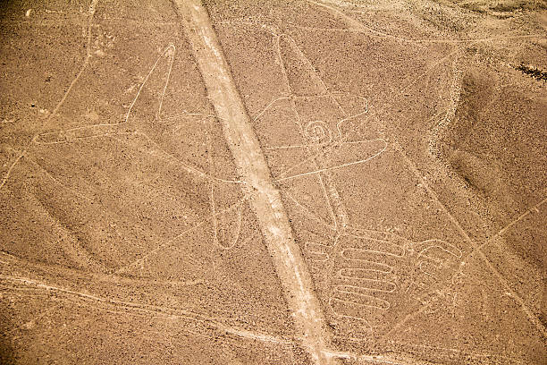 istock Nazca lines -  The Killer Whale 183859385