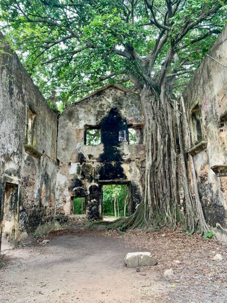 istock Ruined building in the forest 1838594030