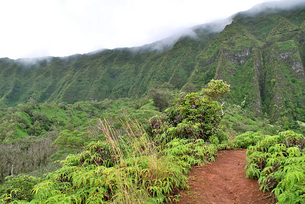istock Koolau Mountains Hiking Trail, Hawaii 183859707