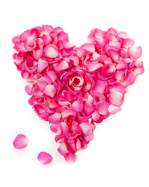 istock Pink Rose Petal Heart 183859722