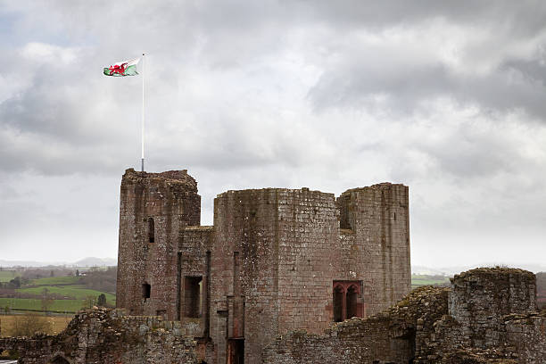 castelo de raglan main tower com bandeira galesa - monmouth wales - fotografias e filmes do acervo