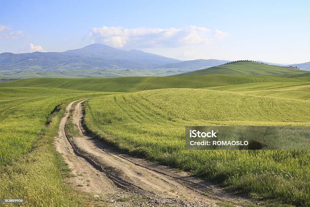 Val d'Orcia Strada in terra battuta e sul campo, Toscana, Italia - Foto stock royalty-free di Agricoltura