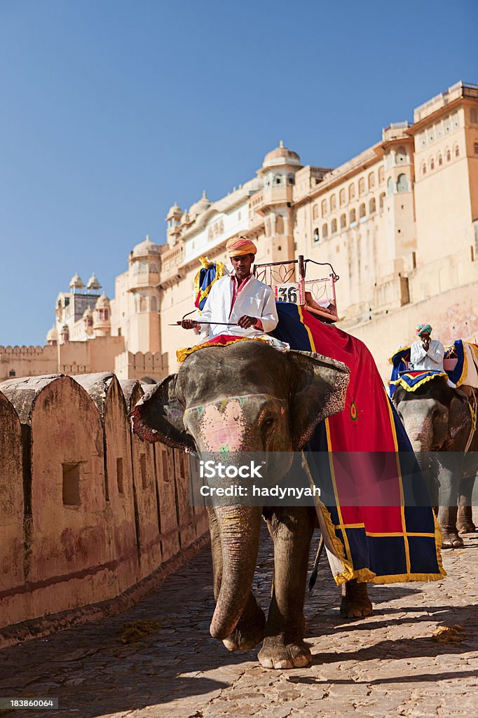 象のアンベール城（インド、ジャイプール） - ジャイプールのロイヤリティフリーストックフォト