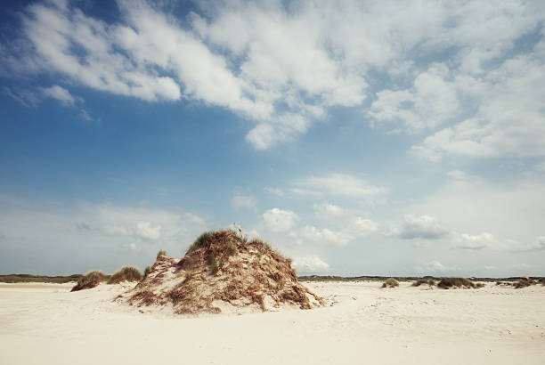 paisaje de dunas - amrum summer spring island fotografías e imágenes de stock