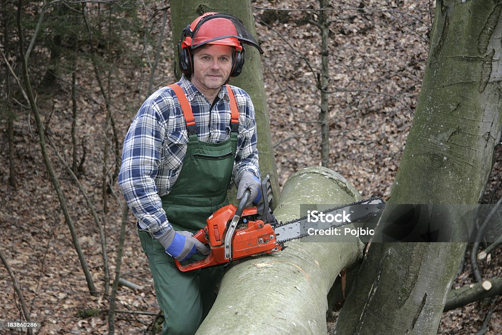 forestry worker forestry worker at the work with an chainsawsee also Chainsaw Stock Photo