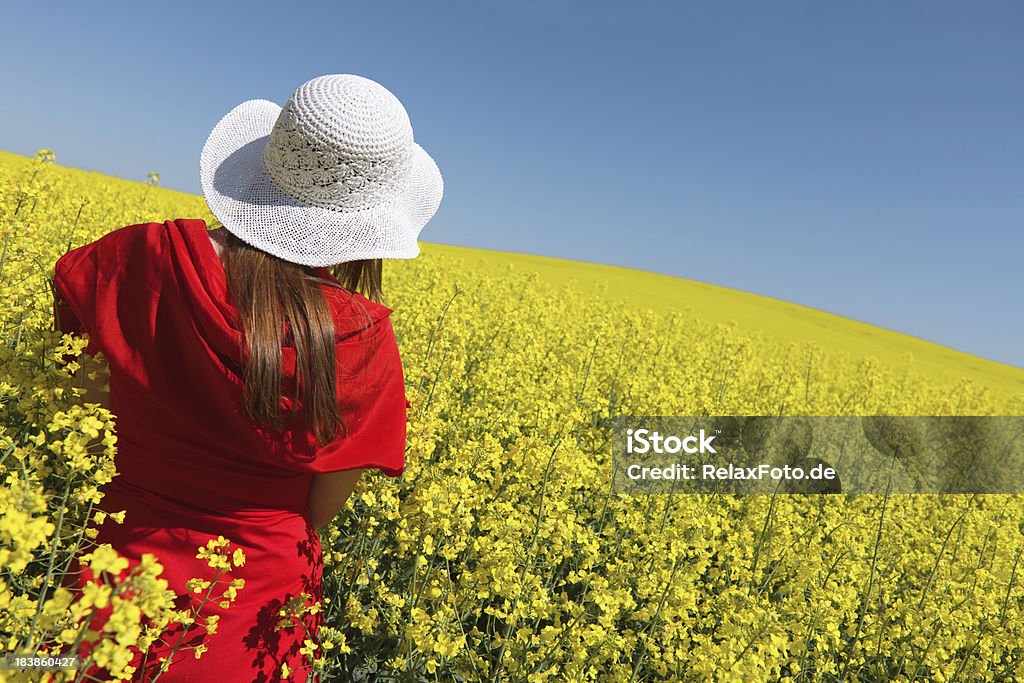 Vista posteriore, in rosso Vestito di donna in canola field (XXXL - Foto stock royalty-free di Adulto