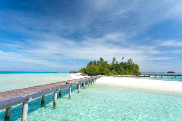 Tropical Jetty
