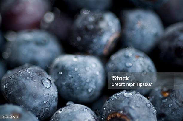 Foto de Mirtilos Frescos e mais fotos de stock de Alimentação Saudável - Alimentação Saudável, Antioxidante, Azul