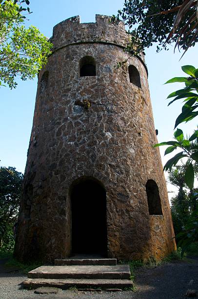 Jungle castle stock photo