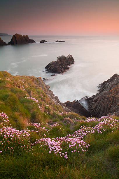 istock Sunset at Hartland Quay 183861954