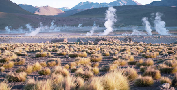 champ de geyser d'el tatio dans le nord du chili à l'aube - geyser nature south america scenics photos et images de collection