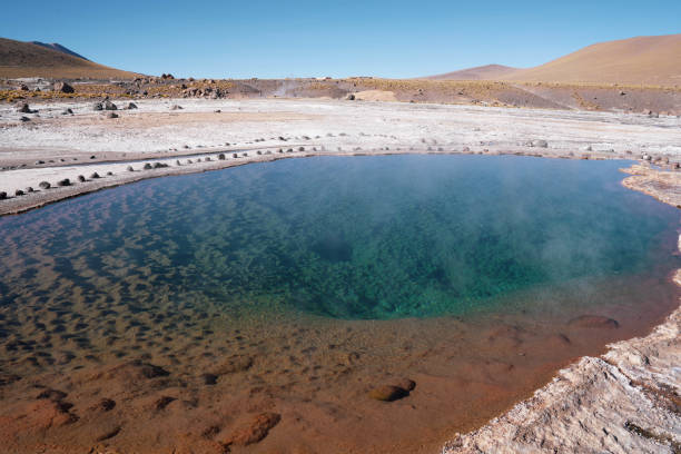 месторождение гейзера эль татио на севере чили на рассвете - geyser nature south america scenics стоковые фото и изображения