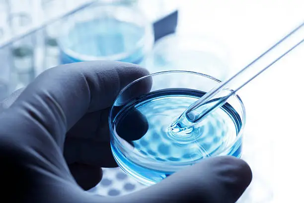 A scientist holds a petri dish uses a pipette to remove a sample of solution. In the background are test tube racks which are slightly out of focus suggesting the sterile environment of a laboratory. The hand is covered with a latex glove. A cool blue tone is the dominant color scheme