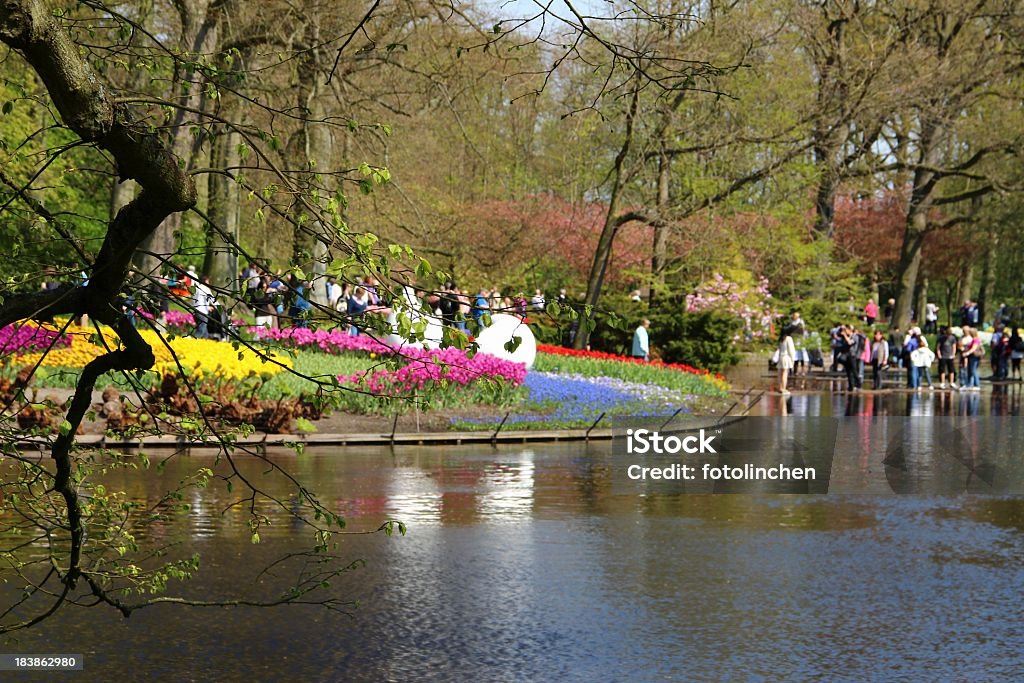 Frühling in Keukenhof-Gärten - Lizenzfrei Keukenhof-Gärten Stock-Foto