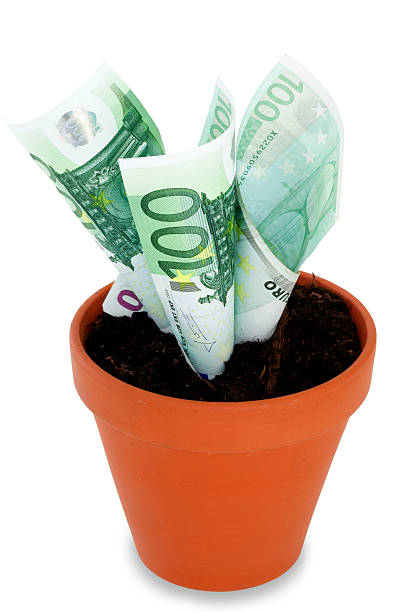 istock Flower Pot and Euro Growing 183863422