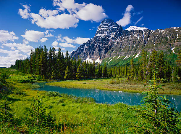 istock Canadian Rockies In Banff NP 183863481