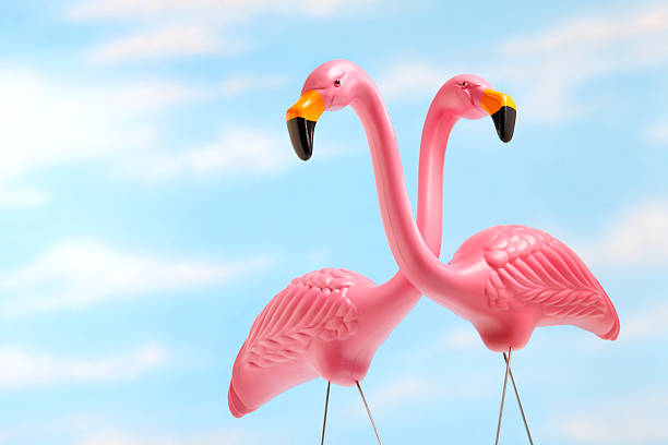 les flamants roses - plastic flamingo photos et images de collection