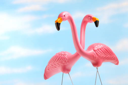 Two pink flamingos against a sky background.
