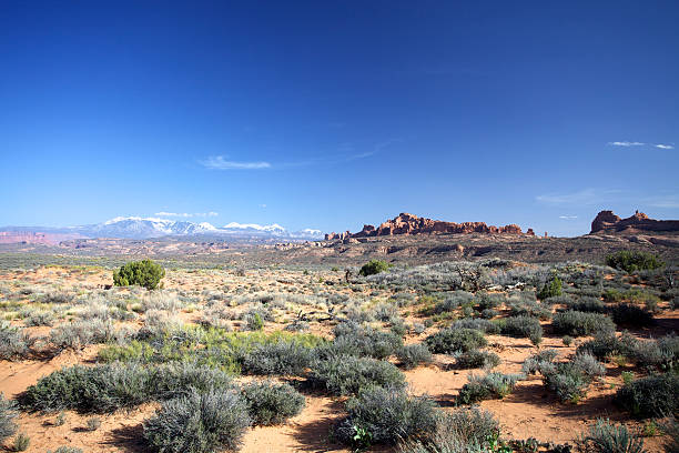 istock Desert Landscape with Mountains 183863534