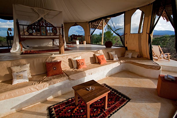 Gewoon overlopen sturen dilemma Luxury Safari Bedroom Stock Photo - Download Image Now - Safari, Africa,  Luxury - iStock