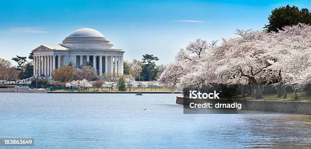 ジェファーソン記念館タイダルベイスンと桜が満開です - ワシントンDCのストックフォトや画像を多数ご用意 - ワシントンDC, アメリカ合衆国, アメリカ文化