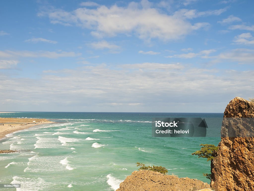 Rocher dans la mer. - Photo de Arbre libre de droits