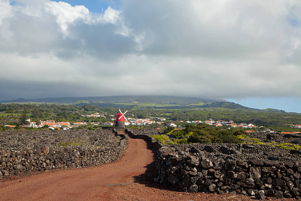 Pico Island Vinyards and windmill in Pico. Unesco world heritage site. Azores, Portugal madalena stock pictures, royalty-free photos & images