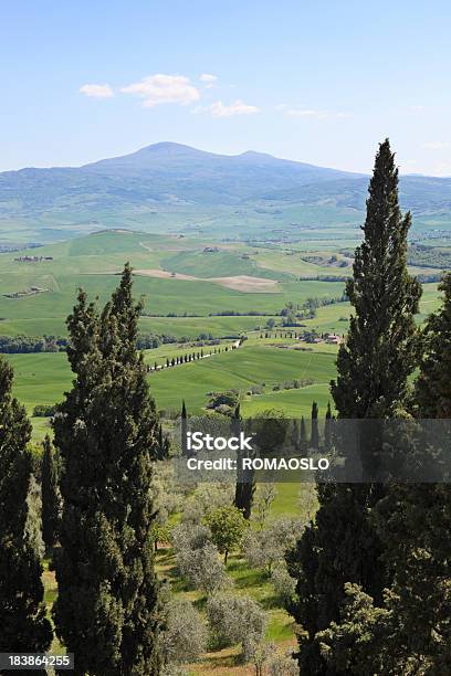 Val Dorcia Con Cypresses E Campo Toscana Italia - Fotografie stock e altre immagini di Agricoltura - Agricoltura, Ambientazione esterna, Campo