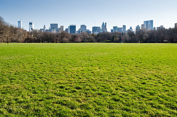 굉장해요 잔디) 에서 센트럴 파크 (Central Park), New York City 스톡 사진