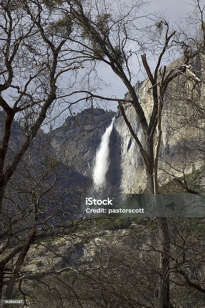 Royal Arch Cascade chute d'eau du parc National de Yosemite - Photo de Arbre libre de droits