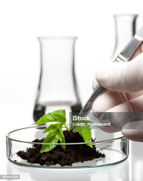 Biosciences Stock Photo - Download Image Now - Laboratory, White Background, Plant