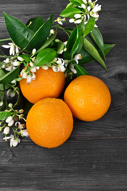 istock Picture of freshly picked oranges and blossoms 183865746