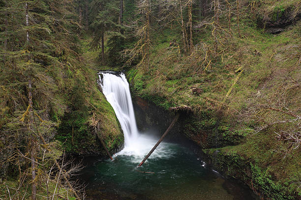 Lower Butte Creek Falls - foto de stock