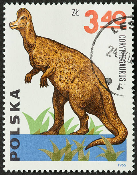 istock corythosaurus dinosaur on a Polish postage stamp 183866455