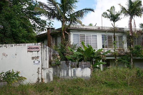 Abandonado edificio en la selva - foto de stock