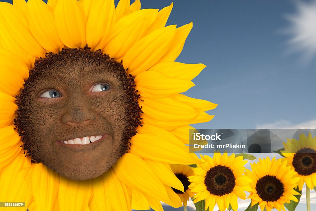 Sonnenblume smiley-Symbol - Lizenzfrei Erdgöttin Stock-Foto