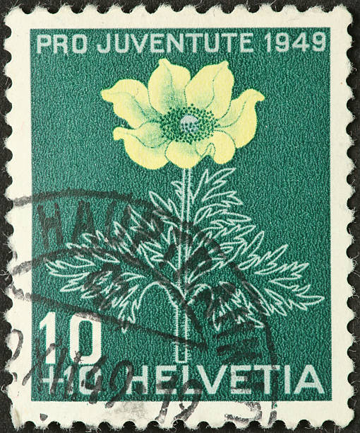 istock yellow flower on an old Swiss postage stamp 183866613