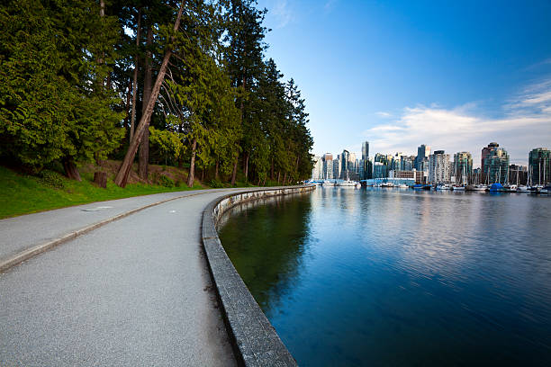 stanley park quebra-mar em vancouver, bc - vancouver harbor vancouver harbor marina - fotografias e filmes do acervo