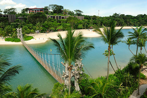 パラワンビーチ、セントーサ,シンガポール - palawan ストックフォトと画像