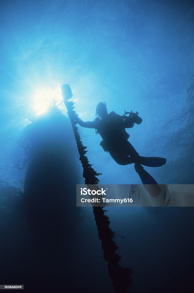 Underwater Explorer - Foto de stock de Actividades recreativas libre de derechos