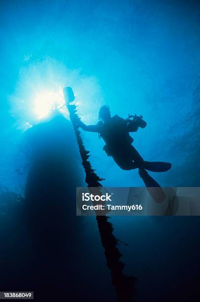 Underwater Explorer Foto de stock y más banco de imágenes de Actividades recreativas - Actividades recreativas, Adulto, Aferrarse