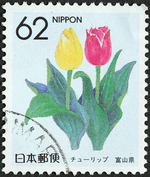 istock yellow and red tulips on a Japanese postage stamp 183868141