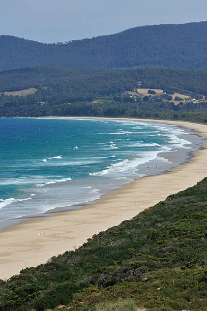 istock Bruny Island in Tasmania 183868390