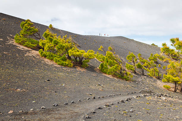 istock La Palma Lava Landscape 183868820