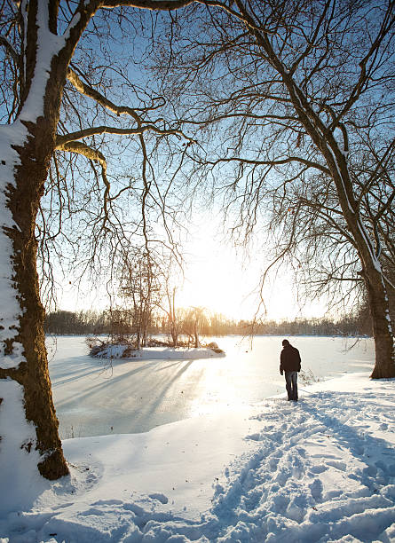 istock Winter Day - Frozen Lake 183868868
